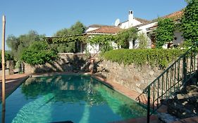 Bed And Breakfast El Diplomatico Feo - The Ugly Diplomat